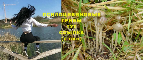 прущая мука Алзамай