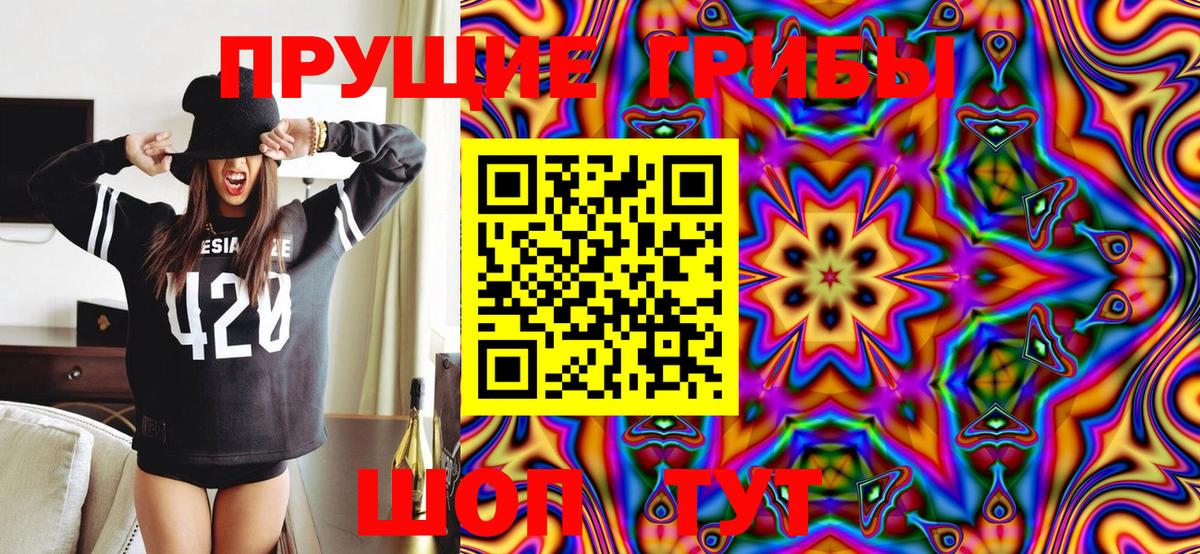 Киров  Галлюциногенные грибы GOLDEN TEACHER  купить  цена  Псилоцибиновые грибы мухоморы  Вход с VPN 